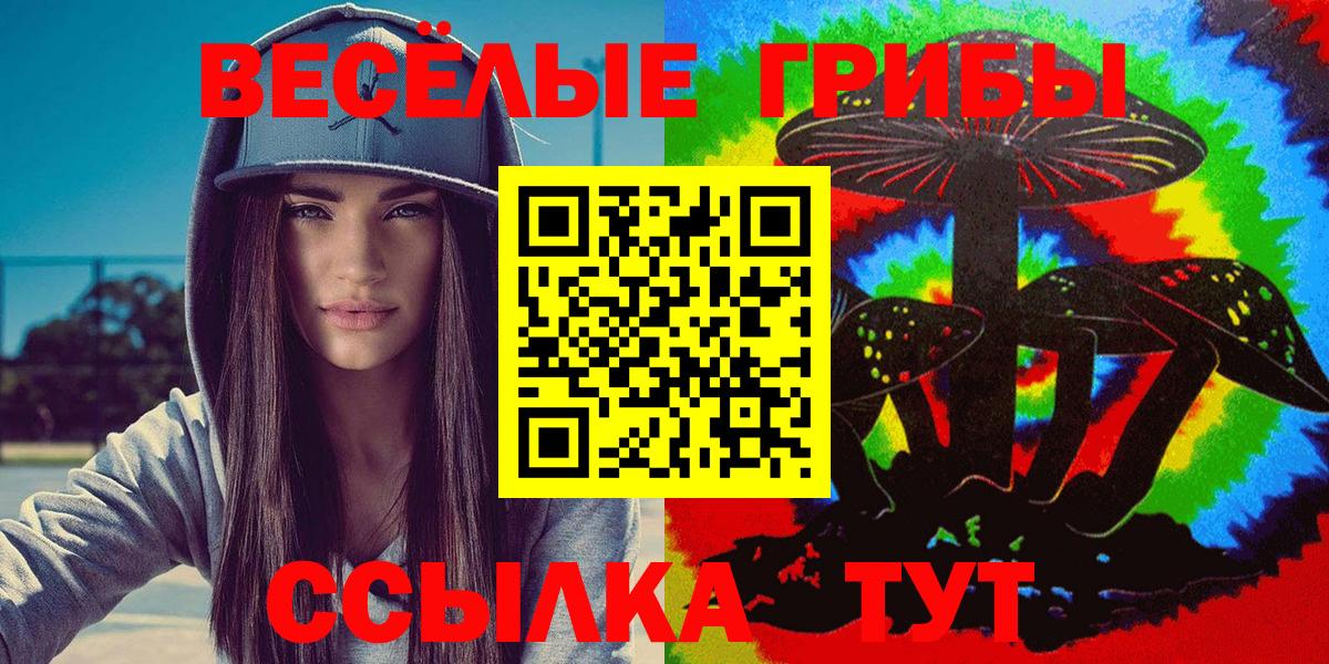 Новоалтайск  Псилоцибиновые грибы Cubensis  Вход с VPN  Галлюциногенные грибы Psilocybe 