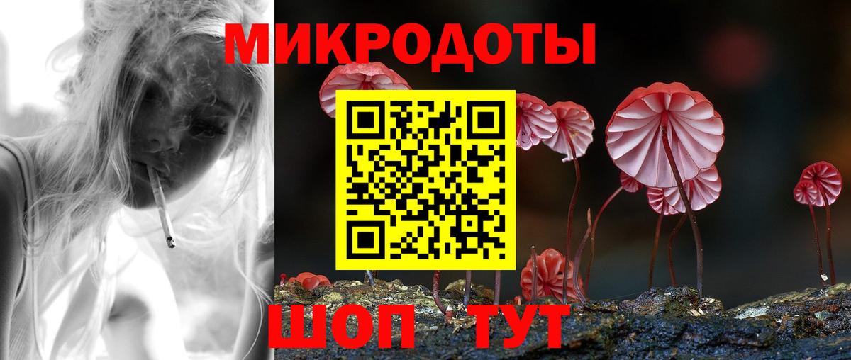 Псилоцибиновые грибы мицелий Новоалтайск